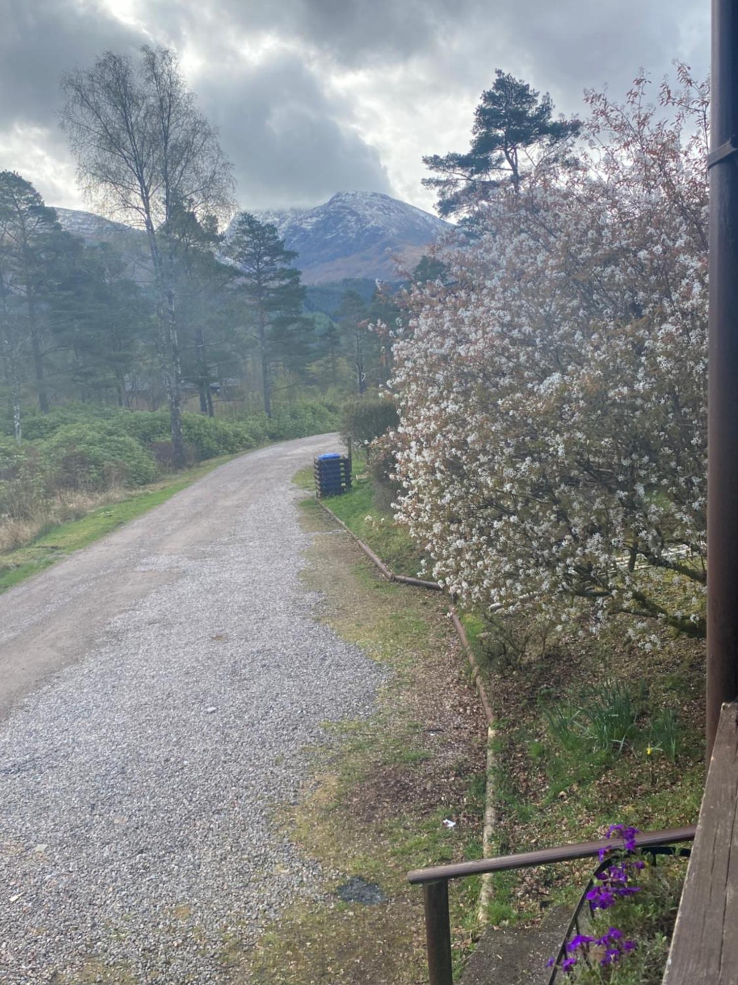 Kingswood Lodges Fort William Exteriér fotografie